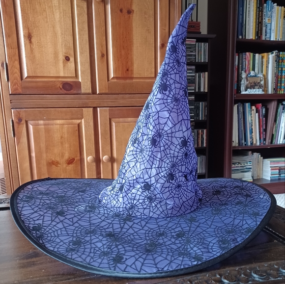 Women's Tattered Witch Dress & Purple Mesh Spiderweb Hat - Picture 7 of 8